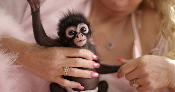 Photo courtesy of HBO Woman holding a young spider monkey