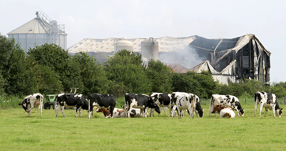 Barn Fire Photo by Jack Tummers