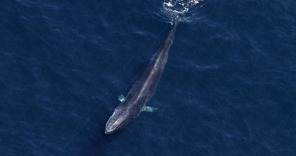 Photo from Flickr by NOAA Photo from Flickr by NOAA