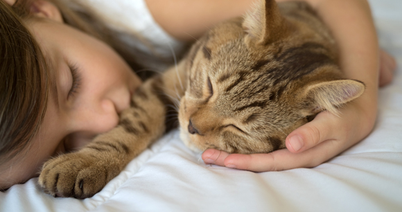 child and cat