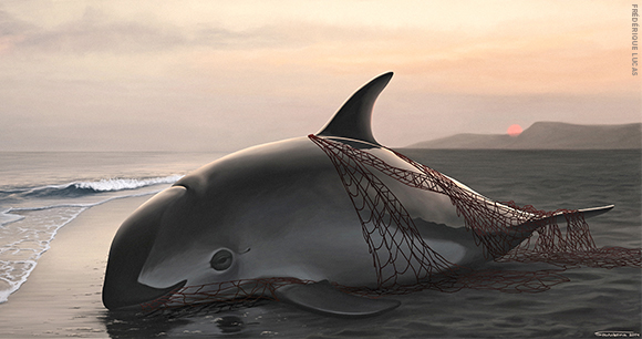 Illustration by Frédérique Lucas An illustration of a vaquita entangled in a net.