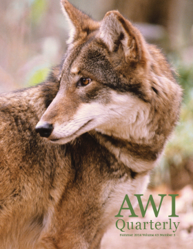 Summer 2014 AWI Quarterly Cover - Photo by Mark Newman/FLPA, Minden Pictures Summer 2014 AWI Quarterly Cover - Photo by Mark Newman/FLPA, Minden Pictures