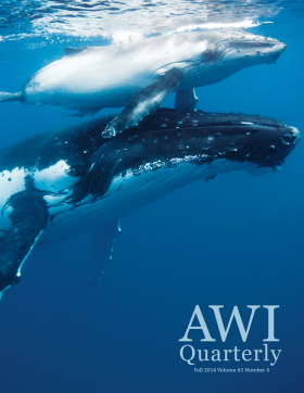 Fall 2014 AWI Quarterly Cover - Photo by Scott Portelli