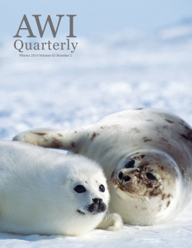 Winter 2014 Quarterly AWI Cover - Photo by Michio Hoshino, Minden Pictures Winter 2014 AWI Quarterly Cover - Photo by Michio Hoshino, Minden Pictures