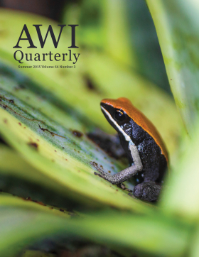 Summer 2015 AWI Quarterly - Cover, Photo by Zach Baranowski