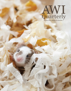 Winter 2015 AWI Quarterly Cover - Photo by Tirc83 Winter 2015 AWI Quarterly Cover - Photo by Tirc83