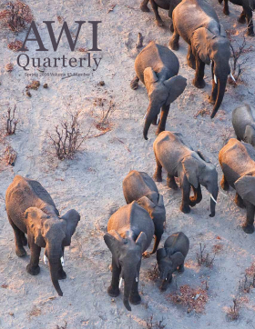Spring 2016 AWI Quarterly Cover - Photo by Ben Osborne, Minden Pictures Spring 2016 AWI Quarterly Cover - Photo by Ben Osborne, Minden Pictures