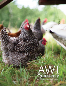 Summer 2016 AWI Quarterly Cover - Photo by Mike Suarez