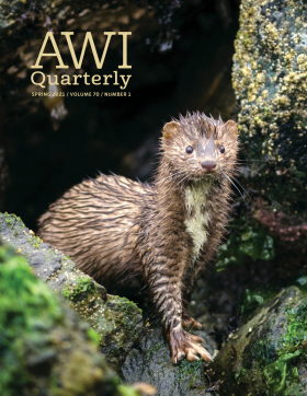 Spring 2021 AWI Quarterly Cover - Photo by ElementalImaging Spring 2021 AWI Quarterly Cover - Photo by ElementalImaging
