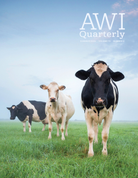 Summer 2024 Quarterly cover - photo by Olha Rohulya
