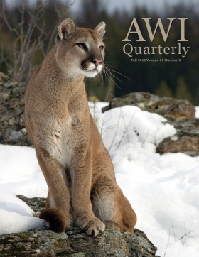 Fall 2012 AWI Quarterly cover - Photo by Matthias Breiter, Minden Pictures