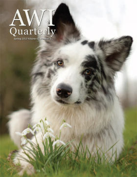 Spring 2013 AWI Quarterly Cover - Photo by Cecilia van Prooijen Spring 2013 AWI Quarterly Cover - Photo by Cecilia van Prooijen