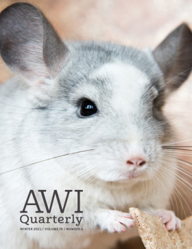 Winter 2021 AWI Quarterly Cover - Photo by Olga Gorovenko