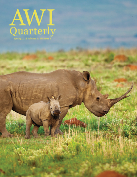 Spring 2014 AWI Quarterly Cover - Photo by Richard Du Toit, Minden Pictures Spring 2014 AWI Quarterly Cover - Photo by Richard Du Toit, Minden Pictures