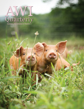 Summer 2012 AWI Quarterly Cover - Photo by Mike Suarez