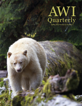 Spring 2012 AWI Quarterly Cover - Photo by Eric Sambol