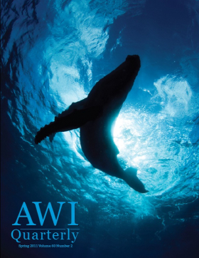 Spring 2011 AWI Quarterly Cover - Photo by Scott Portelli