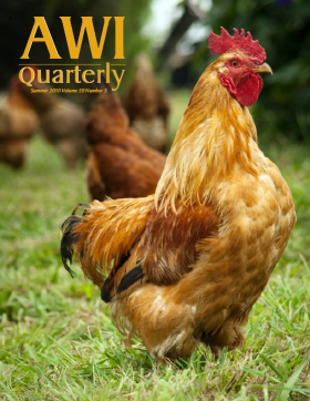 Summer 2010 AWI Quarterly Cover - Photo by Mike Suarez Summer 2010 AWI Quarterly Cover - Photo by Mike Suarez