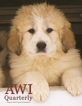Summer 2011 AWI Quarterly Cover - Photo by Dr. Tom Gehring