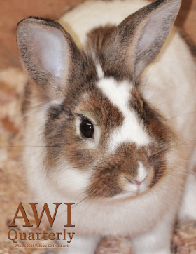 Winter 2011 AWI Quarterly Cover - Photo by Polly Schultz 