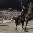 Horse Soring - Photo by HSUS