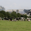 Barn Fire Photo by Jack Tummers