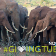 GivingTuesday - Photo by Bill Clark