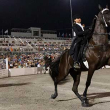 sored horse in competition