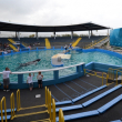 Toki in her tank at Miami Seaquarium