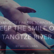 Protect the Smile of the Yangtze River