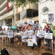 Advocates Rally Outside Mexican Embassy for Vanishing Vaquita Porpoise