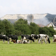 Barn Fire Photo by Jack Tummers