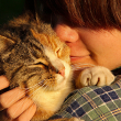 A young woman wearing a plaid shirt holds a cat close to her shoulder.