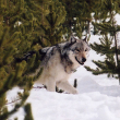 Photo by MacNeil Lyons/National Parks Service