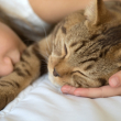 child and cat