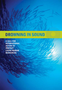 Drowning in Sound Brochure Cover Drowning in Sound Brochure Cover
