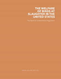 The Welfare of Birds at Slaughter in the United States Cover The Welfare of Birds at Slaughter in the United States Cover