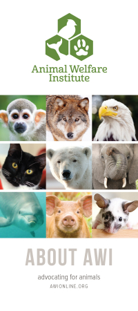 About Animal Welfare Institute Brochure