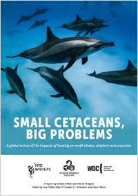 Small Cetaceans, Big Problems