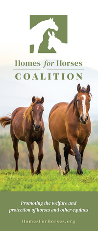 The Homes for Horses Coalition Brochure