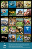 Endangered Species Poster Endangered Species Poster
