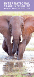 International Trade in Wildlife Brochure Cover International Trade in Wildlife Brochure Cover