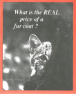 What Is the Real Price of a Fur Coat? Cover
